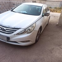 ٢٠١٤ • وارد امريكي • رشت صبغ