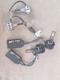 زنون • سمند • ديوانية