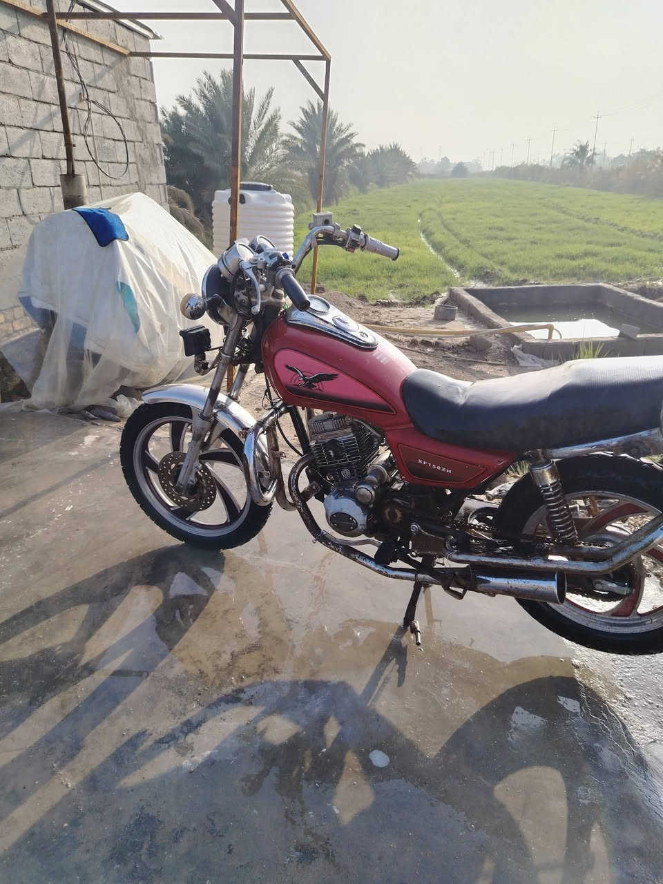 للبيع جوندة كلك نكرة سلف كلة جديد مبدلة جديد رميثة. 350بيهة مجال 
***********
