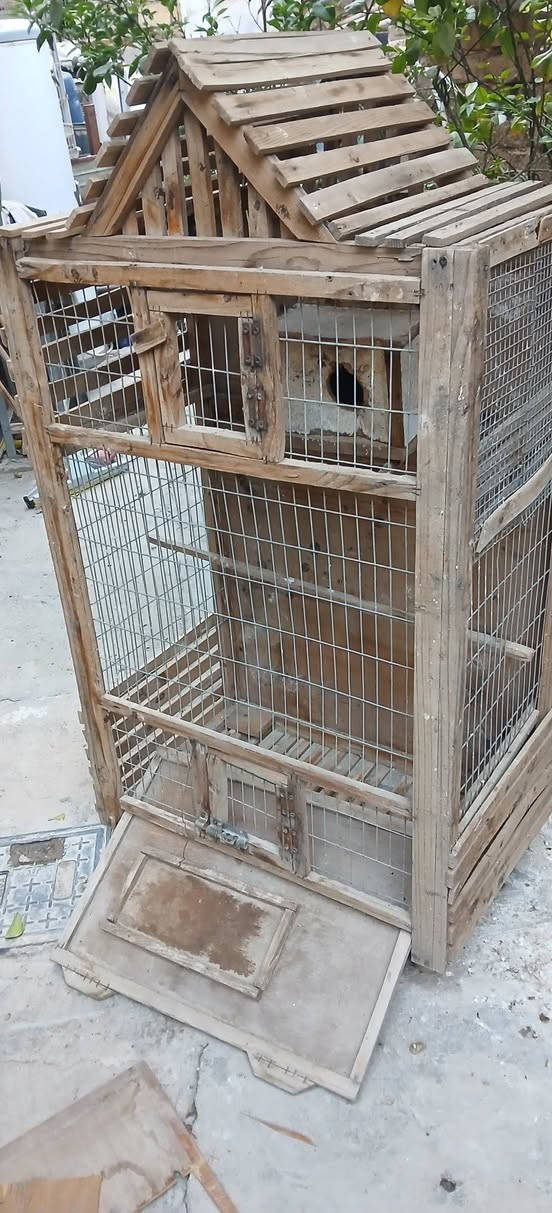السلام عليكم اخوان
اقفاص للبيع اعدم الاستفاده منهن قفص كبير حديد /والاخر قفص خشب مرتب وجميل ديكور حلو السعر الاثنين ٤٥ بيهن مجال وشكراً


**إذا كنت صاحب هذا الإعلان وتريد حذفه لأي سبب، رجاءا أرسل رسالة إلى الدعم الفني**