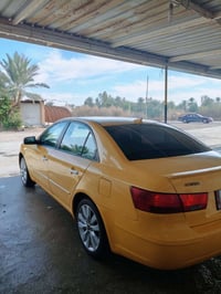 تكسي امريكي • موديل ٢٠٠٩ • ضرر بيبان