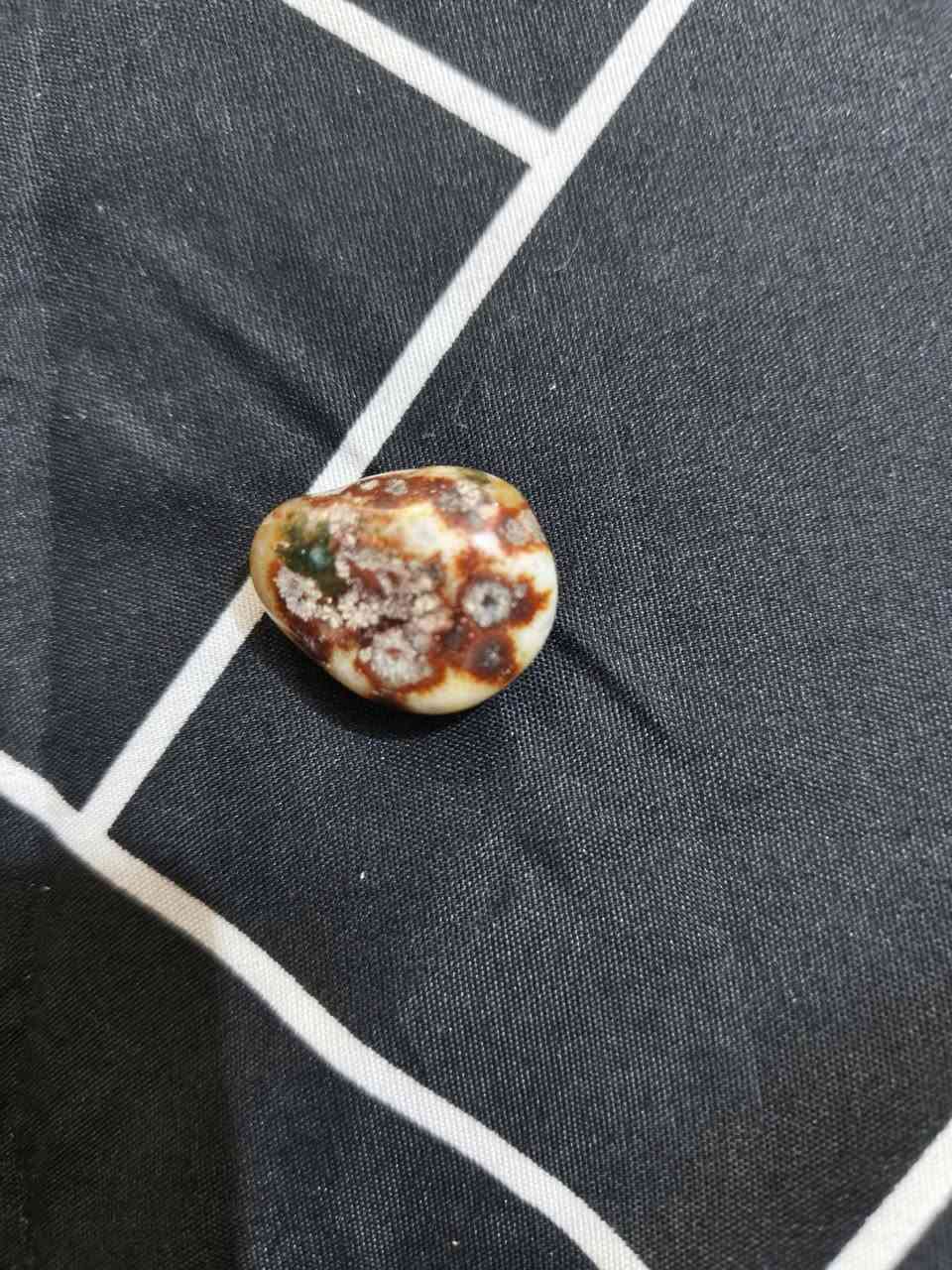 سلام عليكم خرز للبيع كلمن الو سعره


**إذا كنت صاحب هذا الإعلان وتريد حذفه لأي سبب، رجاءا أرسل رسالة إلى الدعم الفني**