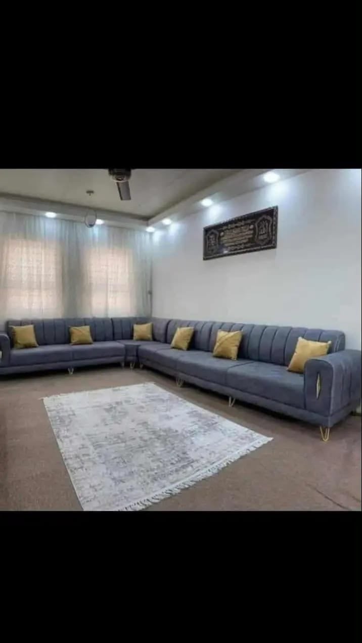 تخم او ديوان بأسعار مناسبه
