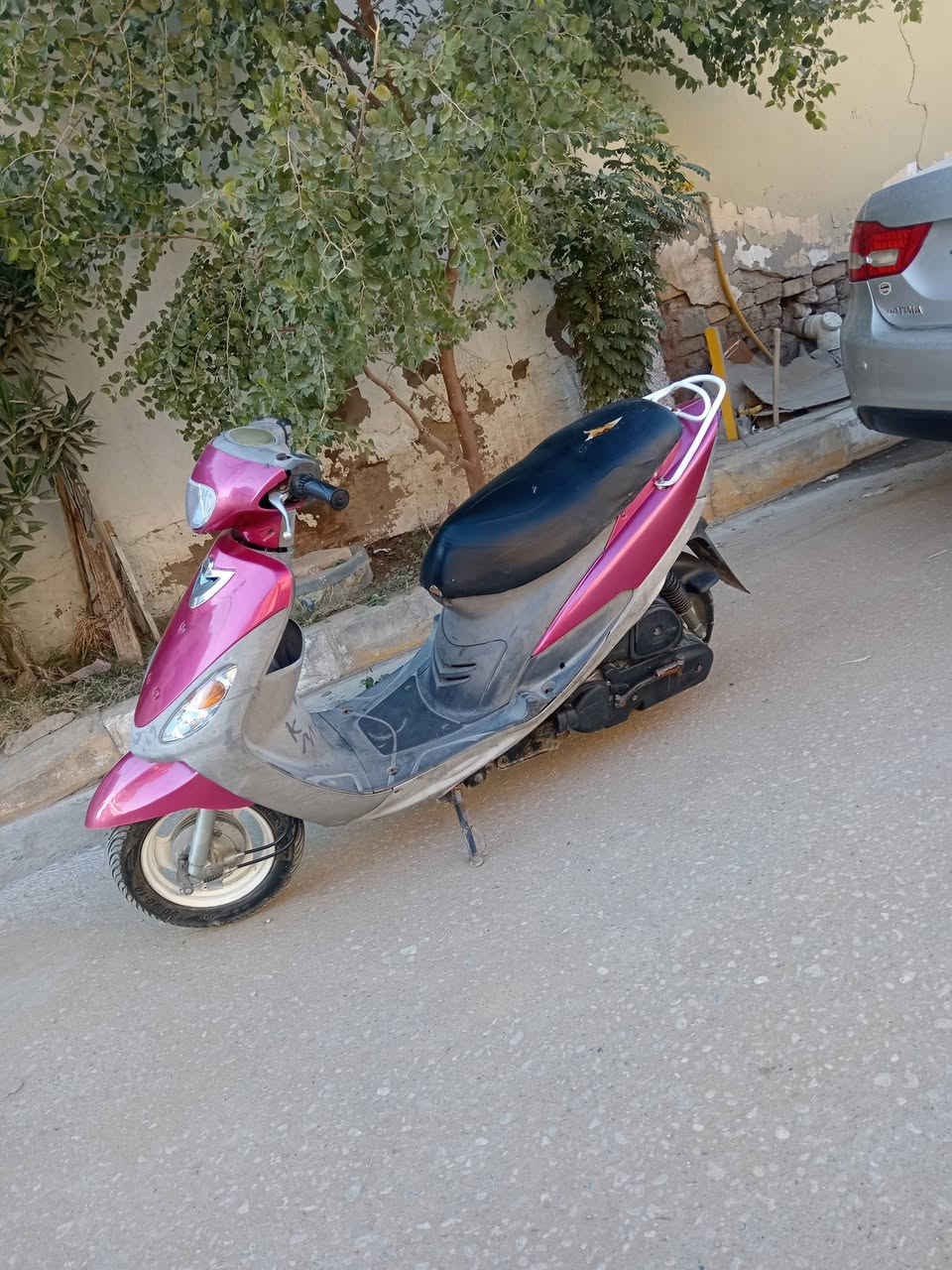 البيع ماكس منغولي مكفوله تصل عل رقم ***********
