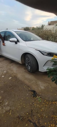 دستروير • ٢٠٢٥ • ٨٠٠٠