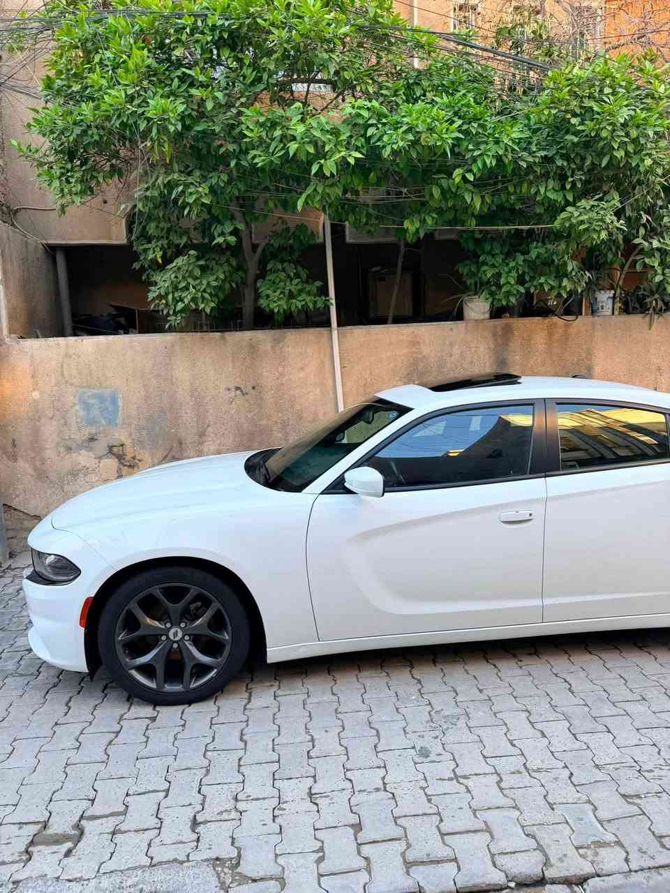جارجر رالي   مديل 2017  كلين تايتل.  فول مواصفات بارده اصبعين جاماملغ امامي فقط سعر ٢٤٠
اتصال فقط ***********مكان حي العدل

