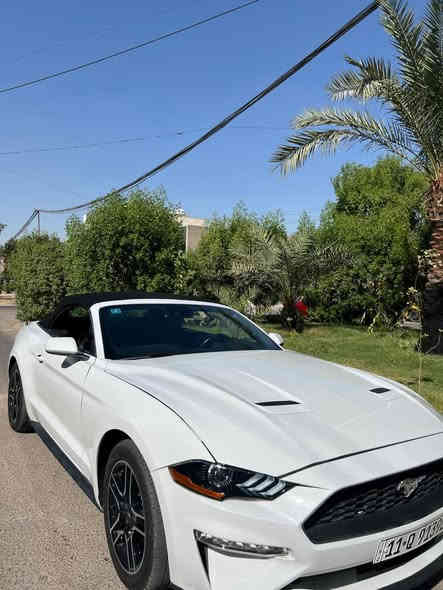 السلام عليكم 
موستنك موديل ٢٠٢٣ لون ابيض 
 فول مواصفات قماره كشف 🏎️
محرك 4 سلندر توربو  و كشنات كهربائية وتحكم ستيرن و شاشة +كامره خلفيه 
حادثها بسيط بدون ايرباك 
صبغ بيها بس راس البنيد ورأس الجاملغ 
العنوان : بغداد -  السيديه 
رقم تلفوني للاستفسار واتساب 
***********‬
سعرها ١٨٥
ترهم مراوس
