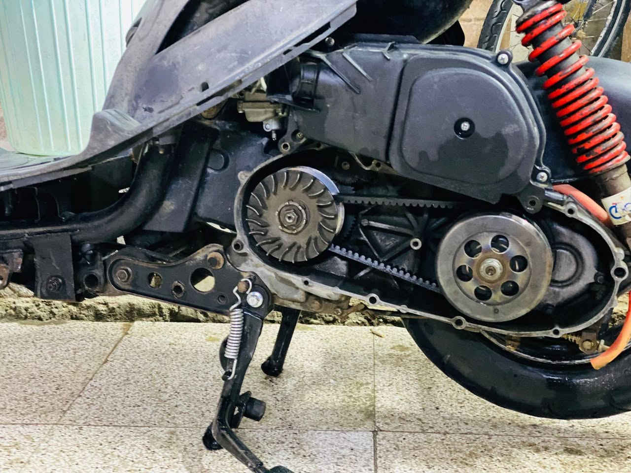 للبيع ماكس منغولي 55
مكانك ناصريه سوك الشيوخ ***********
