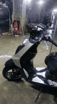 سكنس جبلي للبيع دراجه رمبه مكفوله سعر مليون وميتين الاستفسار ***********
مكاني البياع
