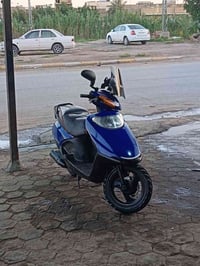سبسي • ياباني • نضيفه