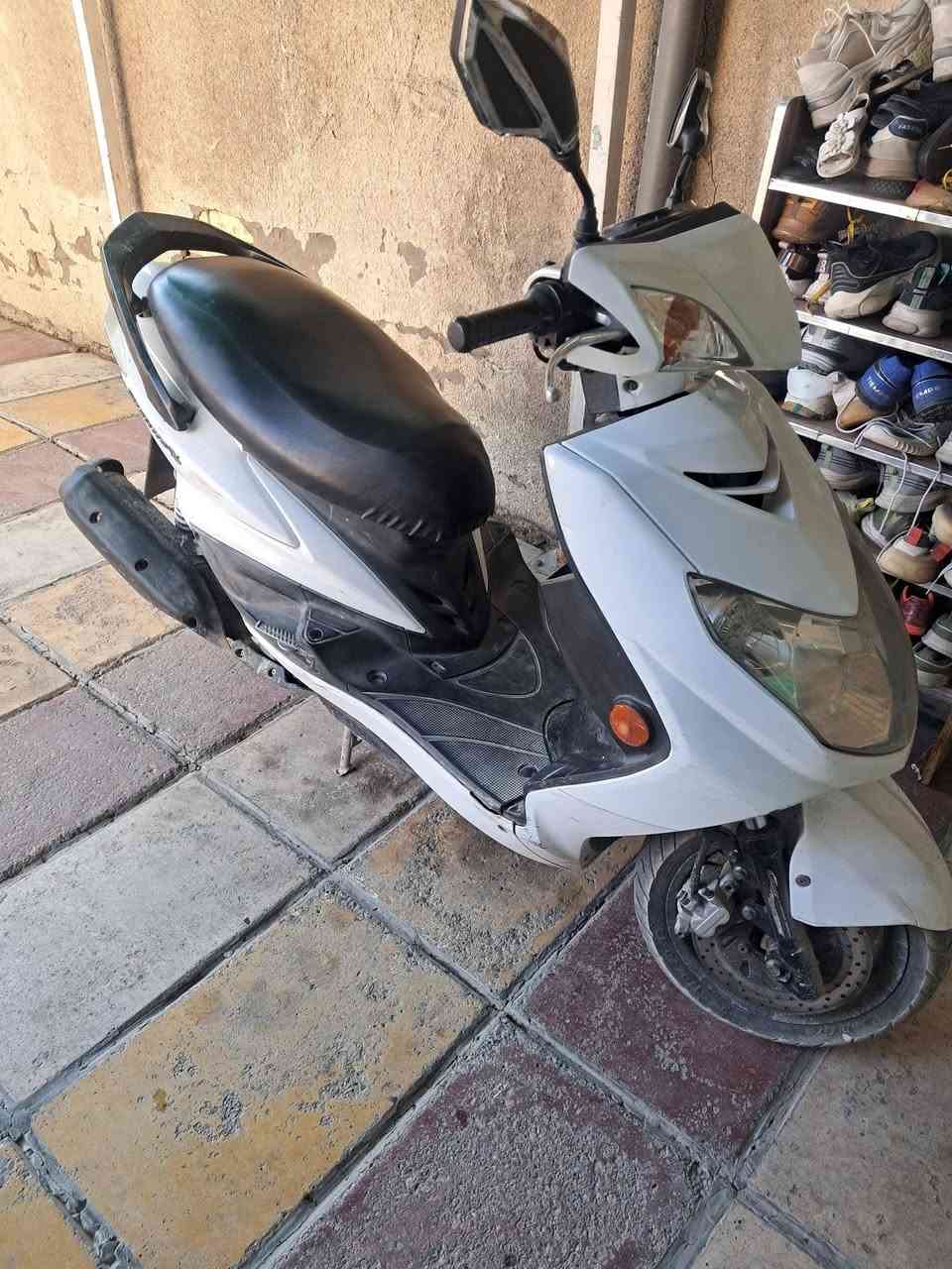 سكنس نوزل محرك بلادي ممفتوح
الرئاسه العبيدي ***********
