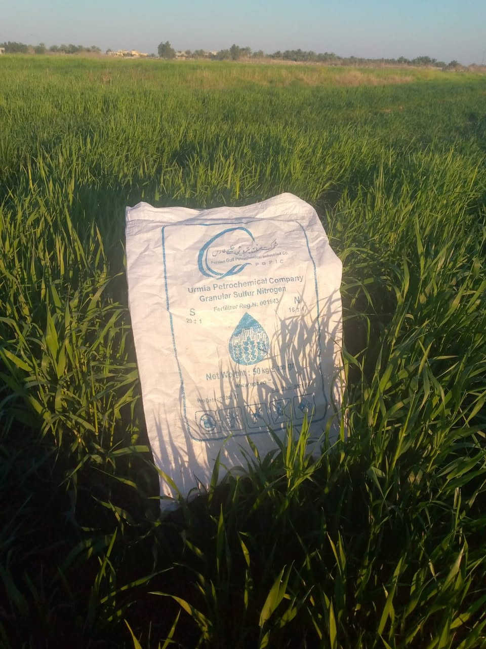 يتوفر لدي خليج فارس فعاليه عاليه مع نبات افضل ***********
