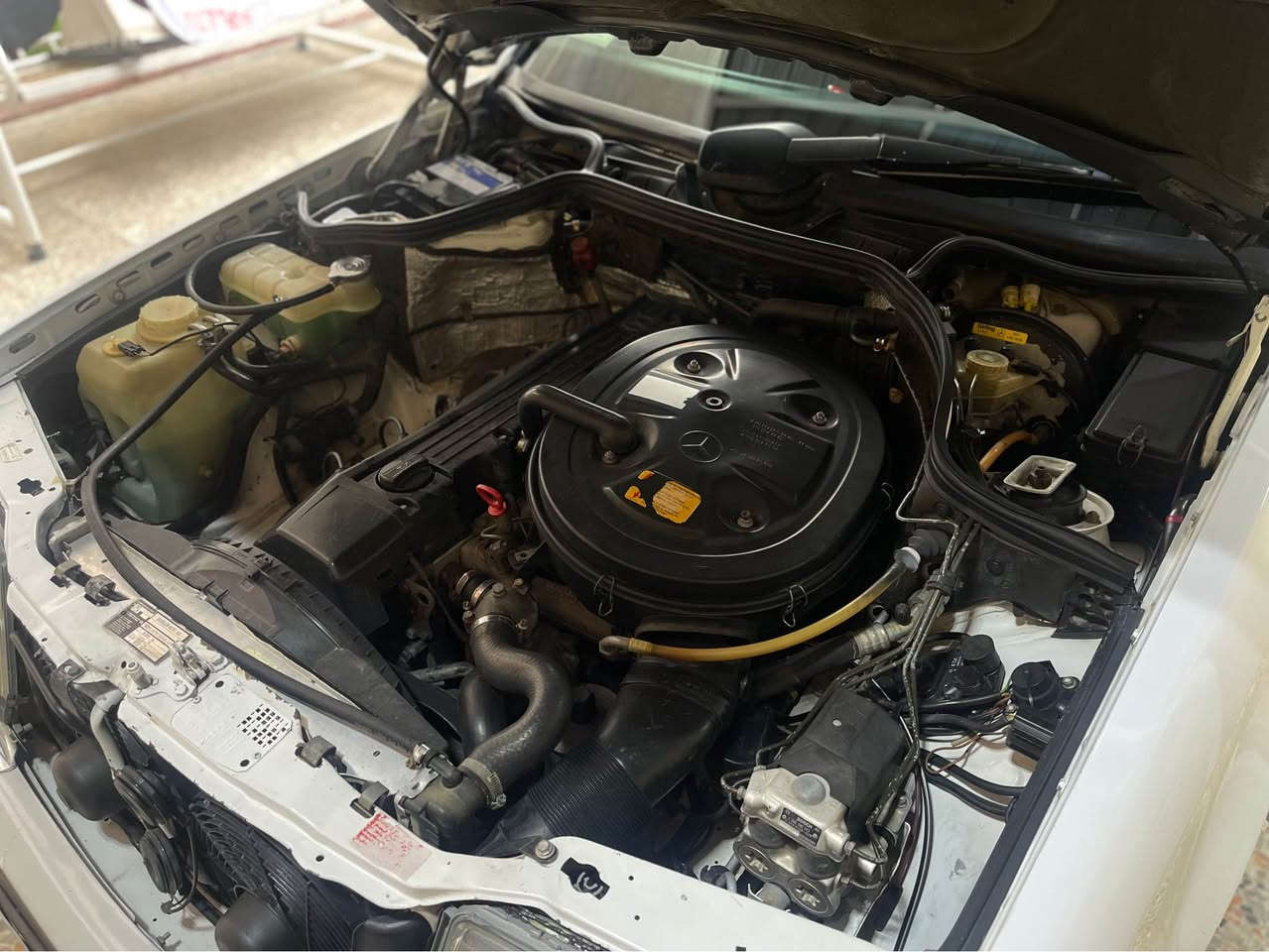 مرسدس دب 
موديل 1988 
مرشوشه فقط لجماليه بدون اي معجون او ضرر و بدون دواخل 
ممشى السياره ٢٥٣ الف كيلو حقيقي 
محرك 300 قبق اسود 
كير و محرك و ميكانيكيات و كهربائيات مكفولات 
سلايد و كشن كهرباء 
كل السياره ع وضع الشركه 
بدون اي تعمير 
للاستفسار *********** 
مكاني بغداد _اليرموك بغداد, العراق
