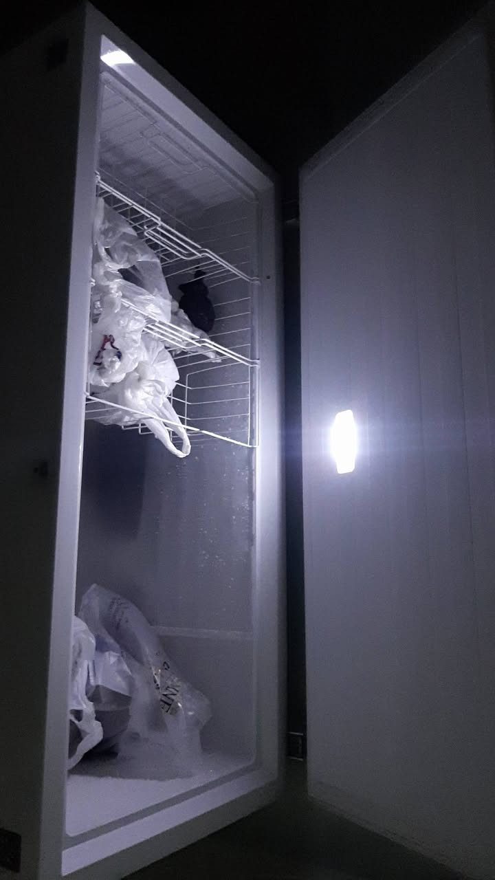 مجمده اوربي مشتغله موسم واحد حجم 24 اوربي بغاغ اقتصادي تصلح للمطاعم والاسواقات ولبيوت اذا مجمد بربع ساعا مرجوعه سبب البيع مكان ماعندي الله شاهد مشتريه ٨٥٠ وبيع ٣٥٠ بغداد الكراده رقم ***********
