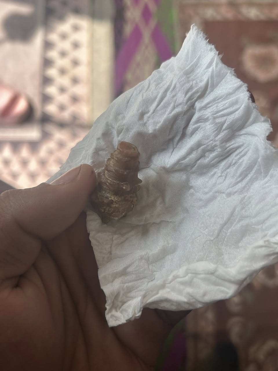 ملوي قديم ذمه /قيم واخذ يعطي سره للمشتري


**إذا كنت صاحب هذا الإعلان وتريد حذفه لأي سبب، رجاءا أرسل رسالة إلى الدعم الفني**