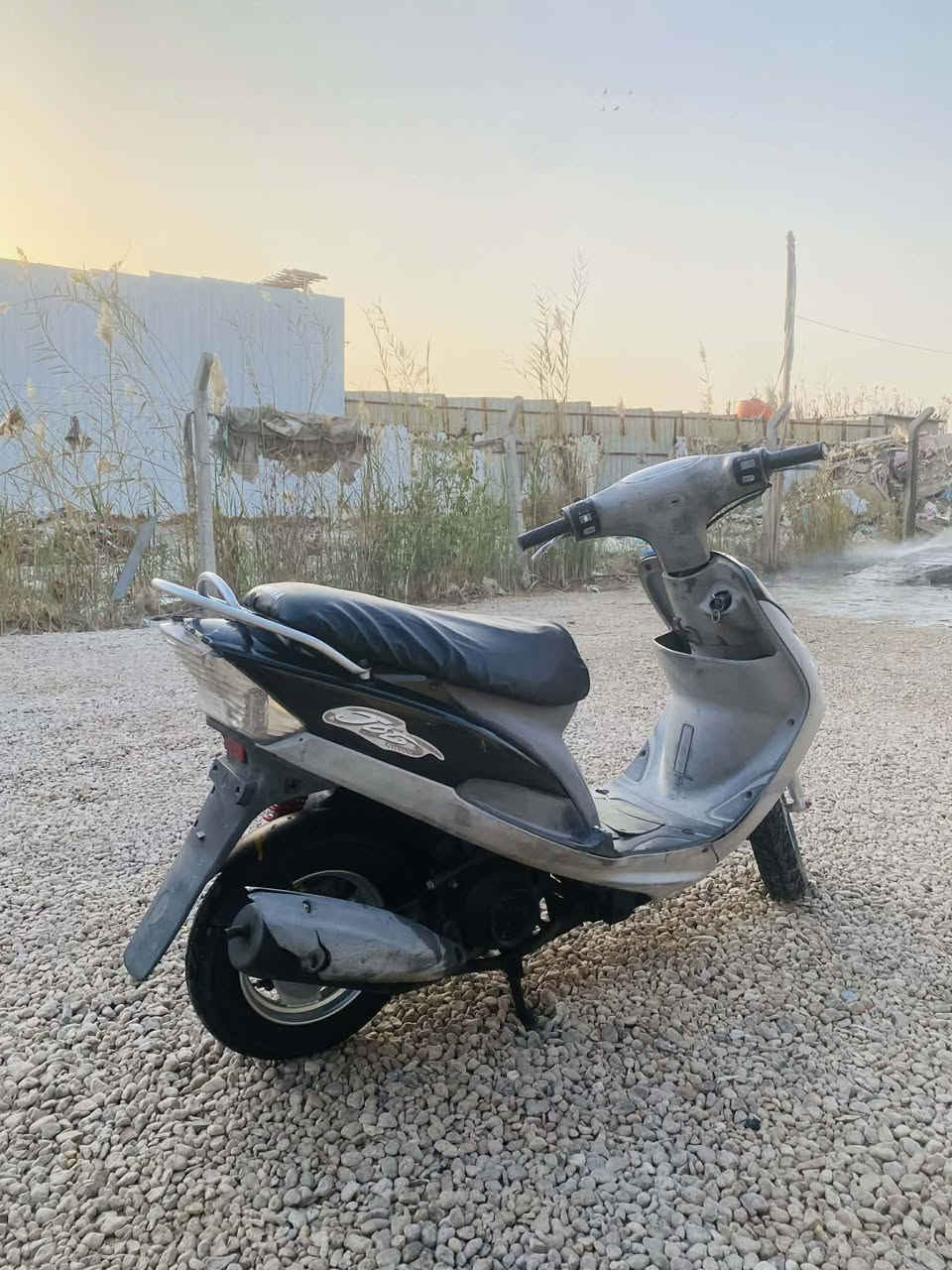 دراجه منغولي للبيع السعر 500 وبيه مجال  هذا رقم صاحب الدراجه 
***********
