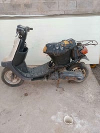 بطة • متروكه • قيم