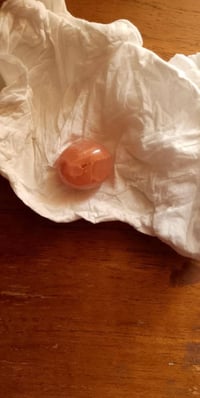 ملقاط يماني • أصلي • بابل