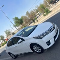 بيكاب خليجي • ٢٠١٤ • أربيل