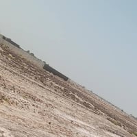 ١١ دونم • طابو زراعي • سند ٢٥