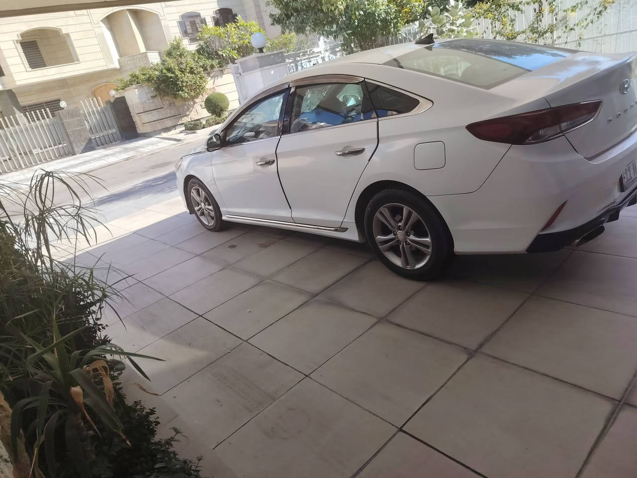 سوناتا ٢٠١٨ امريكي محرك ٢٤٠٠ رقم بغداد باسمي تاير صدر جديد كهربائيات كل شغال تحكم ستيرن بصمة تدفئة بالكشن مصبوغه عام السيارة وصور الحادث ضايفهم
السعر ١٢٠ وبي مجال
العنوان حارثية
رقم الهاتف ***********
