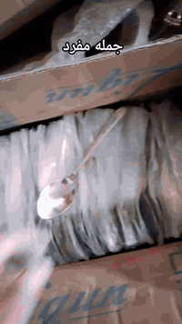 " بسم الله"
" كارتون وزن قياس واحد ...
#توصيل_لجميع_المحافظات_
💰 سعر خاص لفترة محدودة فقط!

📞 للحجز: *********** وتساب فقط 
🛒 الكمية محدودة… سابقي الوقت واحجزي الآن!
