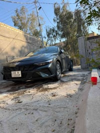 النترا ٢٠٢٤ • نص فول • رقم اربيل