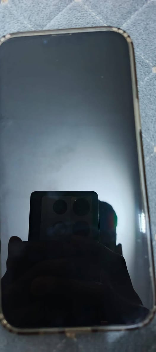 سلام عليكم جهاز ايفون 13 برو ماكس الجهاز ما مفتوح
البطاريه 92 ما معلايه 
الذاكره 256 
شرق أوسط
السعر 725
الاتصال على الرقم ***********
