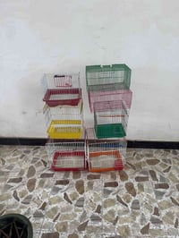 اقفاص • الصالحيه