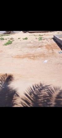 البوبيات حي الإمامين • ١٠٠م • سند شرط الإقرار