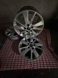 ويل كاب • حجم ١٦ • فورتي اوبتما