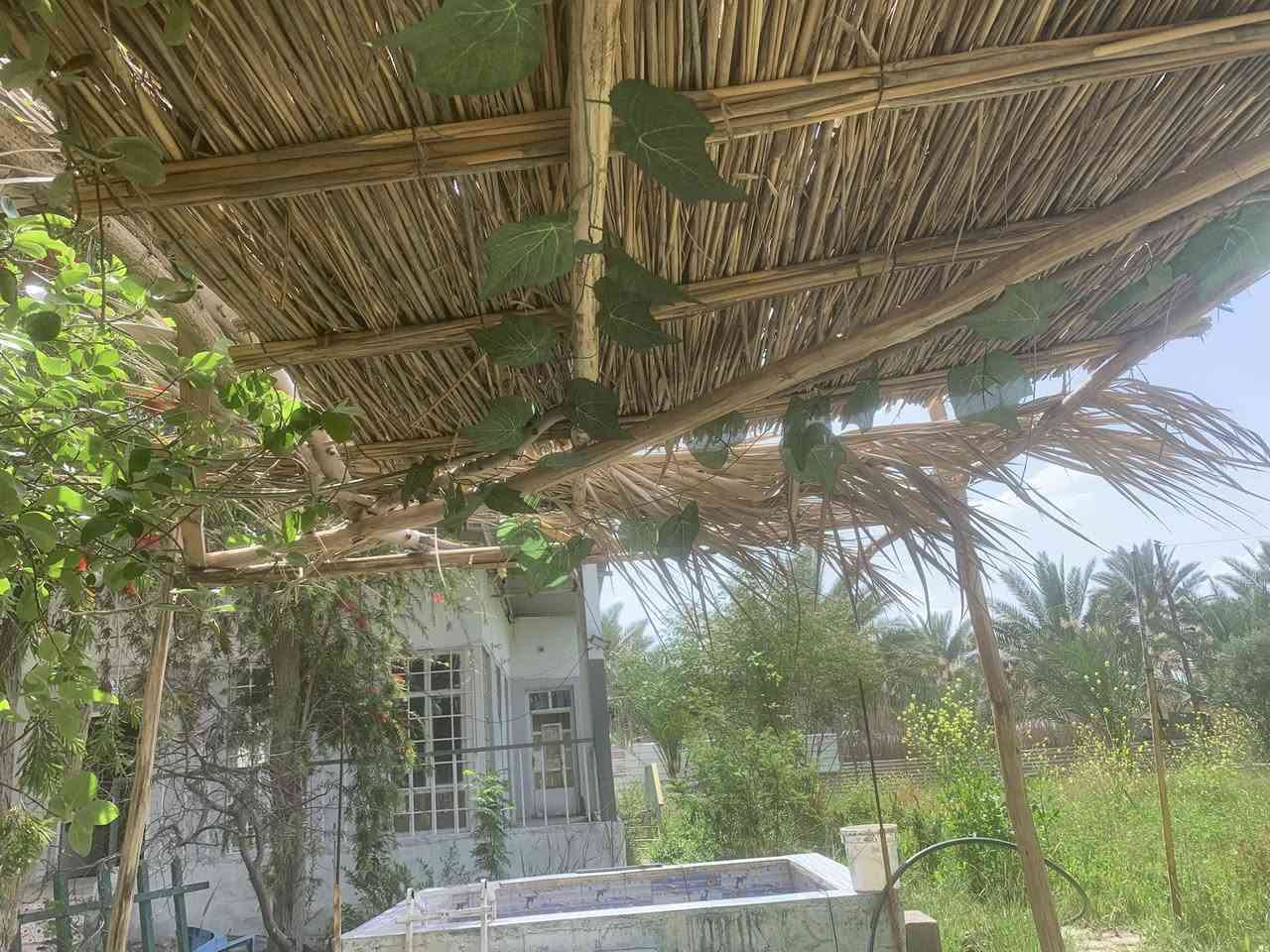 للبيع مزرعة طابو سند ٢٥بيت مسبح  وشلال ونخيل عدد كبير مثمر وخير من الله واشجار لاكهة مثمرة تفاح تين زيتون مشمش وبرتقال ونبك وتكي وماء اسالة وبئر ونهر وركن بصف البزل وركن بصف الدير واول قطعة بصف الدير وسقائف عرض٨م عرض وطول ٣٥م وكهرباء وانارة بين النخيل والاشجار ومدارس وخدمات وبصف الشارع ودخله رئاسية ومسيجة ***********
