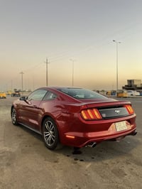 ايكو بوست • ٢٠١٦ • كفالة