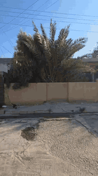 بسم الله إعلان بيت للبيع يعتبر قطعه ارض ال٥كيلو قرب جامع التقوى الفرع الي مقابيل الحديقه مباشر المساحه ٤٦٠متر كل قطعه ٢٣٠ متر طابو صرف تحويل مباشر علمآ البيت مؤجر ٣٠٠  البيت صاير ب الأسواق كلشي قريب منه أستفسار أكثر ***********
