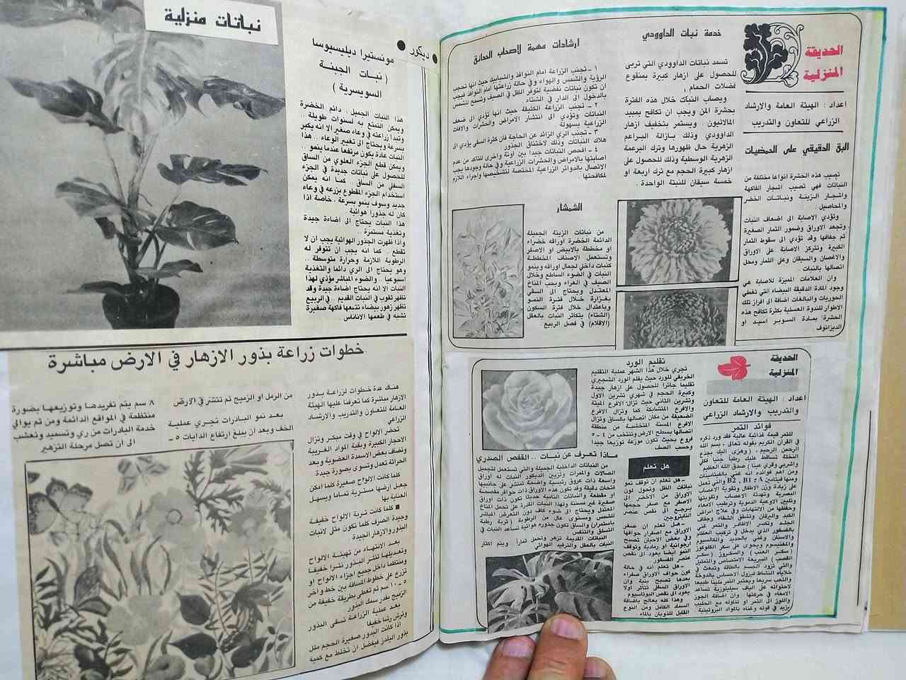 للبيع لاصحاب الانتيكا والحدائق ... 
البوم مجلد كبير  انتيكا شغل يدوي ٢٦×٢٠سم من ٤٠ صفحة يضم ٢٠٠ موضوع عن زراعة الحديقة المنزلية وكيفية زراعة الزهور باسمائها وبانواعها والاشجار والخضروات على شكل قصاصات لصق من عشرات الصحف العراقية منذ الثمانينات  نشرها مهندسون زراعيون.
السعر ٢٥ الف 
يوجد توصيل لكافة المحافظات.
للتواصل خاص او واتساب ***********
