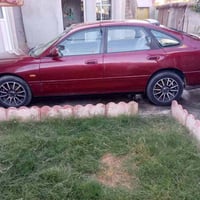 فاصوليا • ١٩٩٢ • رقم كركوك