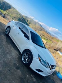 التيما • ٢٠١٨ • أربيل