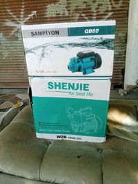 مطور كبير • مطور صغير • جديد بالكارتون