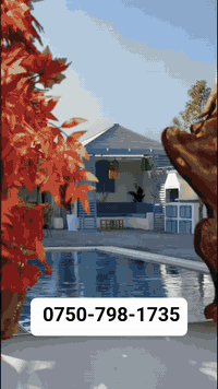 للمزيد زورو قناتنا في تليكرام https://t.me/fisalfisal2938
