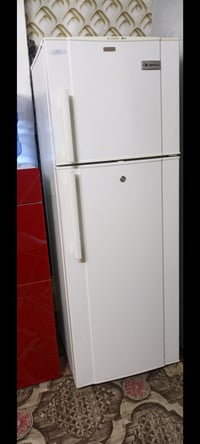 دنكا • ١٤ قدم • شغالة