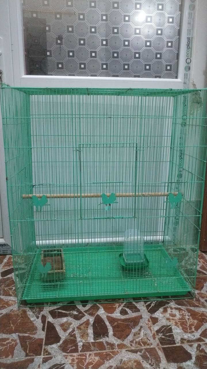 السلام عليكم
اقفاص 2 كبار نضيفات للبيع
جاهزات مع ملحقات منهل ماء واكل


**إذا كنت صاحب هذا الإعلان وتريد حذفه لأي سبب، رجاءا أرسل رسالة إلى الدعم الفني**