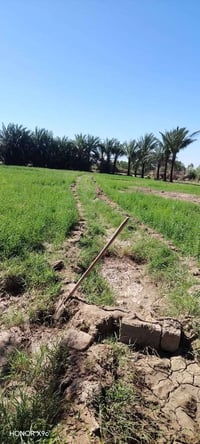 بصفحت الشط • دونم ونص • بيت وكراجات