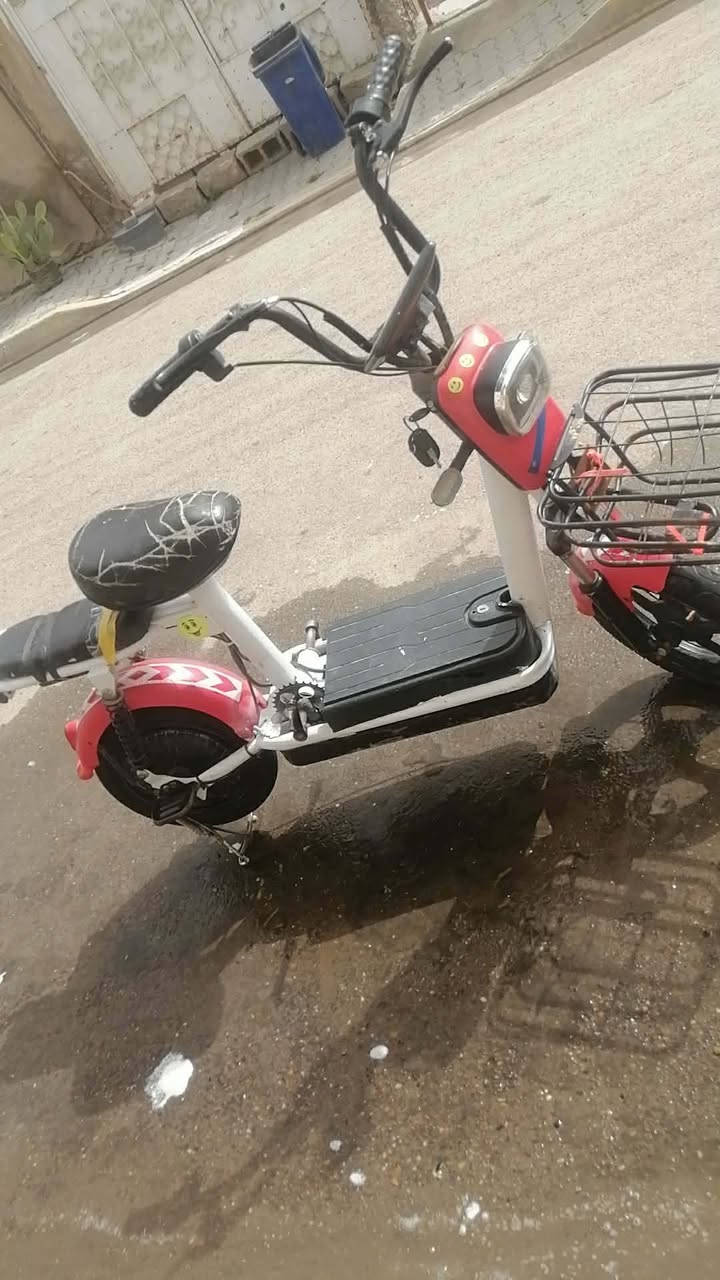 سلام عليكم  دراجه شحن للبيع حجم 14 بطاريات وعقل جدد سعر خاص مكان بغداد


**إذا كنت صاحب هذا الإعلان وتريد حذفه لأي سبب، رجاءا أرسل رسالة إلى الدعم الفني**