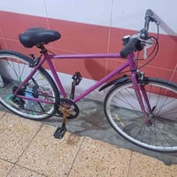 ياباني • حجم ٢٦ • شارع فلسطين