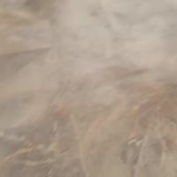 فلم تجد ولن تجد وان وجدت فأنا اختلف🤫🤫🤫🤫🤫🤫 كافه انحاء مناطق بغداد عملنا...