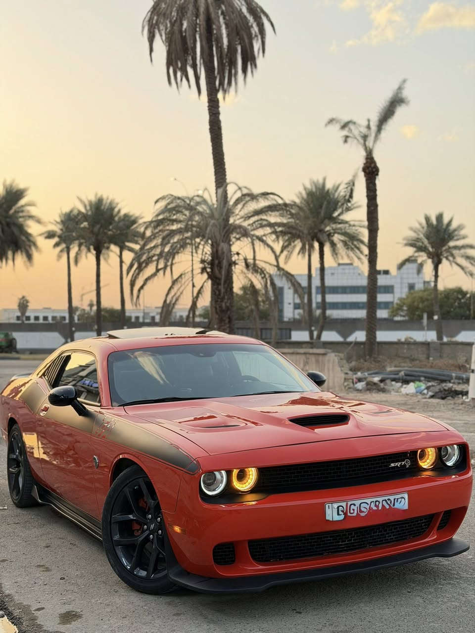 دوج جارنجر جيتي بلاص فول لاخير2023
الموصفات 
ستيرن كهرباء 
خزن ميموري 
كشن حضن كنتارة وجلد 
تدفئة كشنات +تبريد +تدفئة استيرن 
مري تعتيم 

رقم شمالي  
السيارة نقص برغي ما بيها على وضع الشركه جديدة جداً كارتون
لون مميز برتقالي 
حادث جاملغ وبنيد سطحي بدون دواخل نهائي السيارة كفالة حتى من البارد   
عليها برمجة مصطفى ايكل 
 

*********** 
مكاني بغداد
ماشية 9 الف
