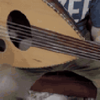 للبيع عود سوري زرياب فصال عراقي مسطره وحليه وغزاله سيسم + مفاتيح ابنوس...