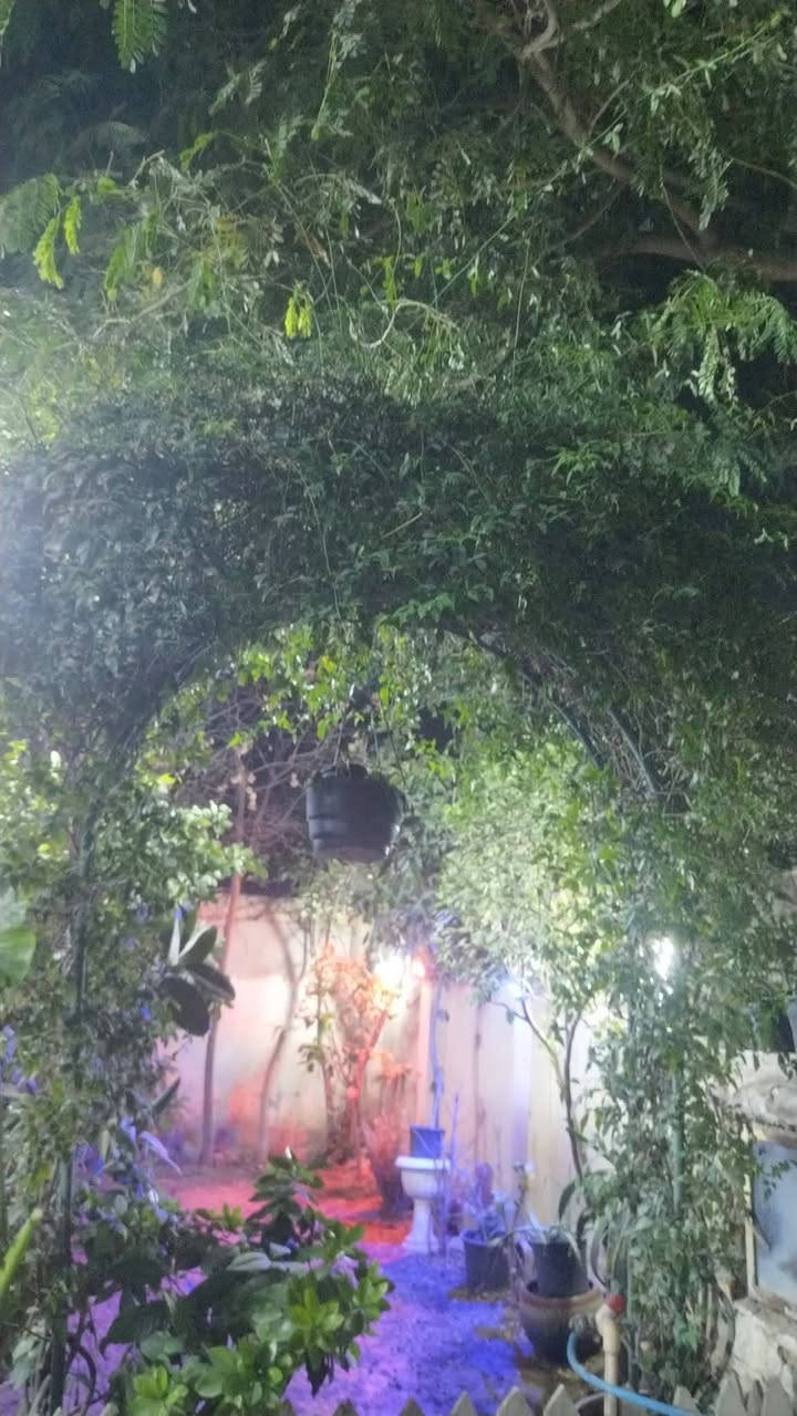 السلام عليكم نصف دار للبيع طابو ملك صرف باسمي  قطع من دار الواجهة 4,5 م
والنزال 20 م يحتوي على إستقبل وحولي وغرفة نوم وبيتونه وسطحين الموقع حي التراث خلف مدرسة البسملة باجمل مكان بالمربع للاستفسار الاتصال على الرقم 
***********
