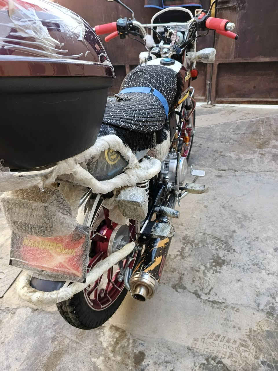 سلام عليكم نامي برو ماكس مصار شهر من ماخذه للبيع رجاء رجاء الي مو شراي ليتصل السوك كلشي بي معه احترامي لجميع 850 وبي مجال قليل وهاذا رقمي *********** المكان جلولاء
