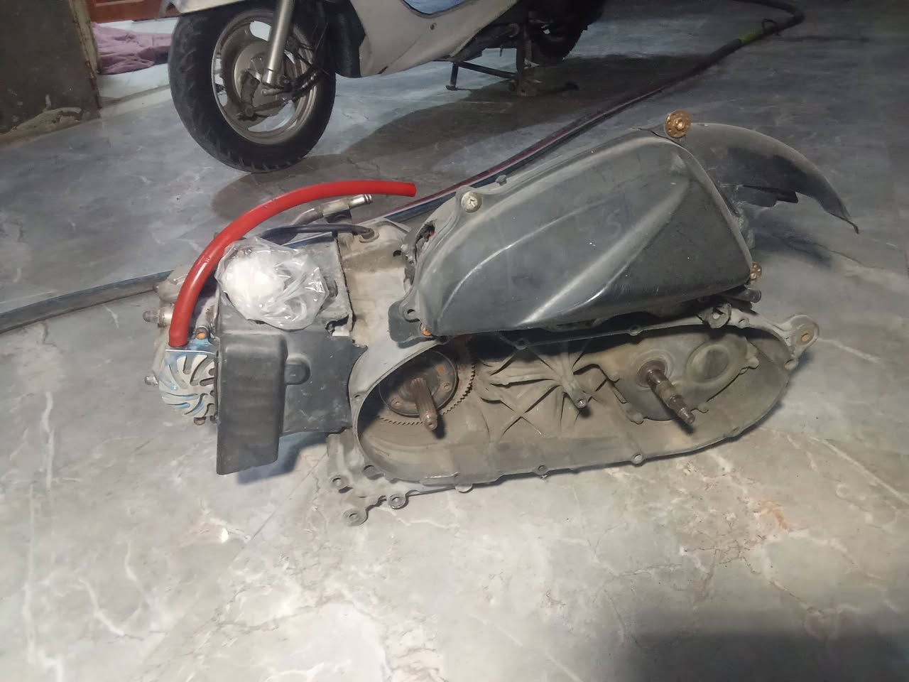 يالله سلام عليكم شباب مكينه ماكس عدله طابوكه مفتوحه بس بوشه اصله لمكينه 55 مكاني بصره قضاء المدينه لستفسار خاص 🤍 ولي مايعرف لا يطب رحمات لهلكم


**إذا كنت صاحب هذا الإعلان وتريد حذفه لأي سبب، رجاءا أرسل رسالة إلى الدعم الفني**